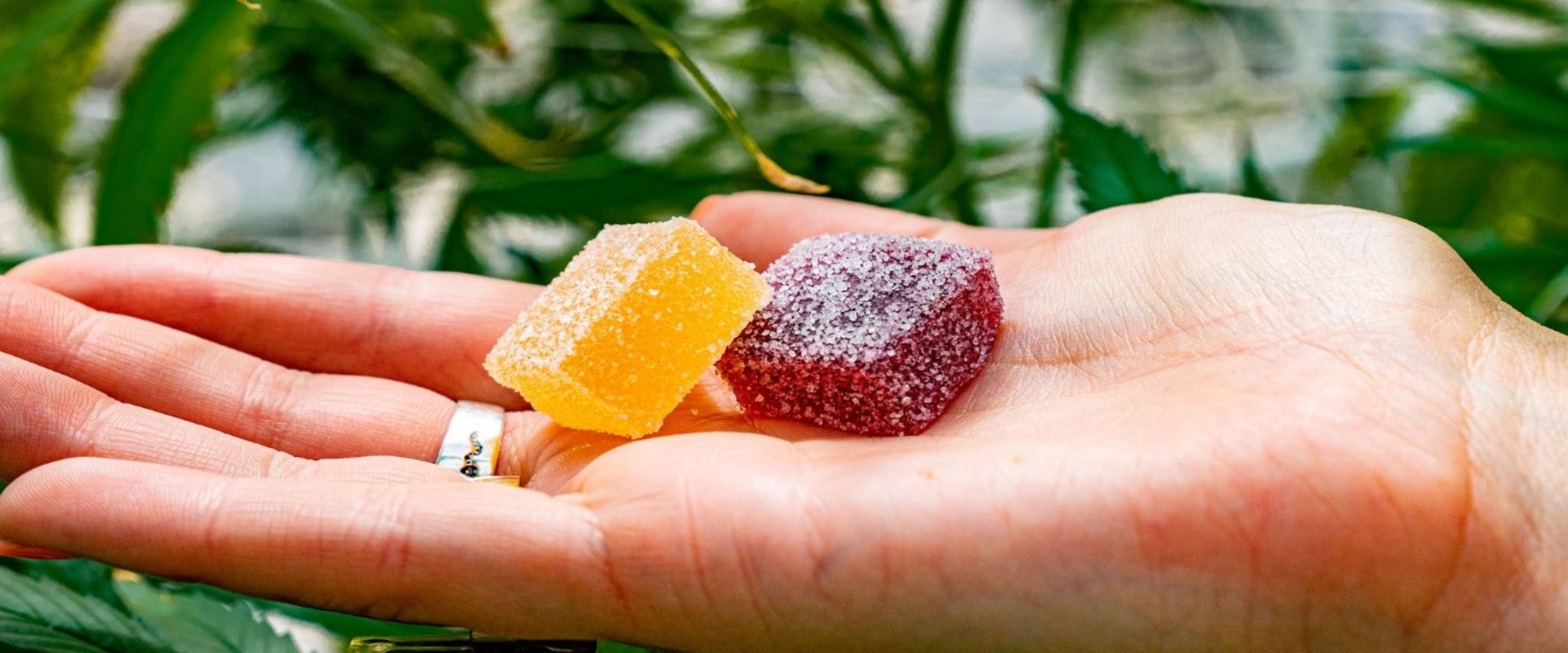 How much delta 9 do you need to get high?