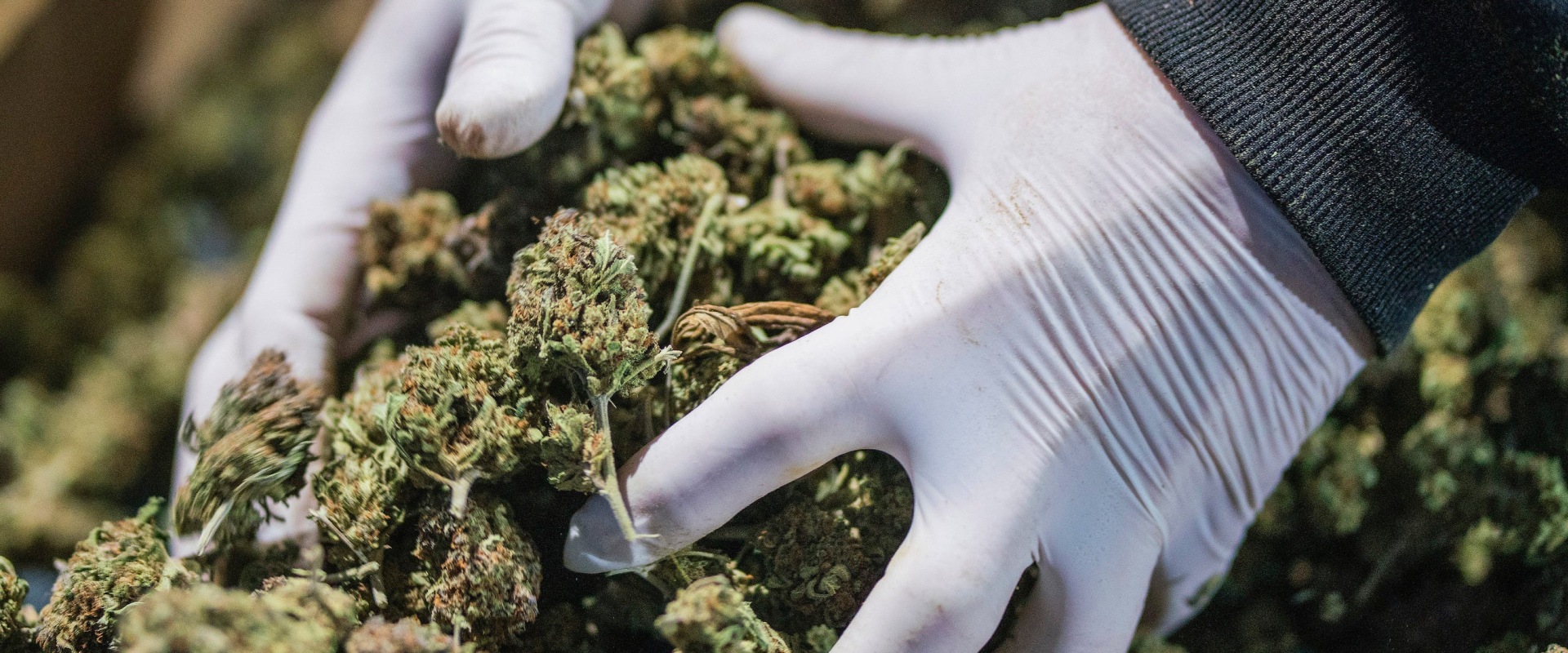 Is delta-8 more potent than thc?