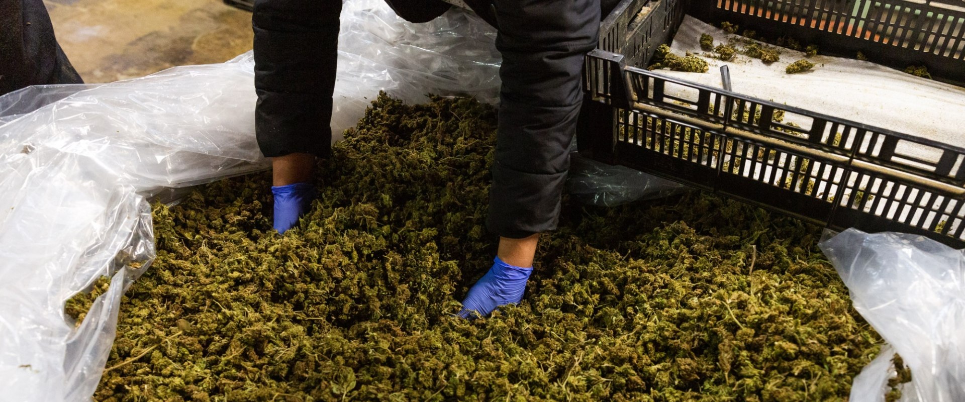 Can i mix delta 8 thc with other substances or medications?