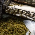 Can i mix delta 8 thc with other substances or medications?