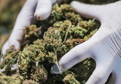Is delta-8 more potent than thc?