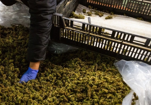 Can i mix delta 8 thc with other substances or medications?